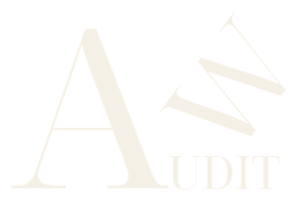 Audit Web